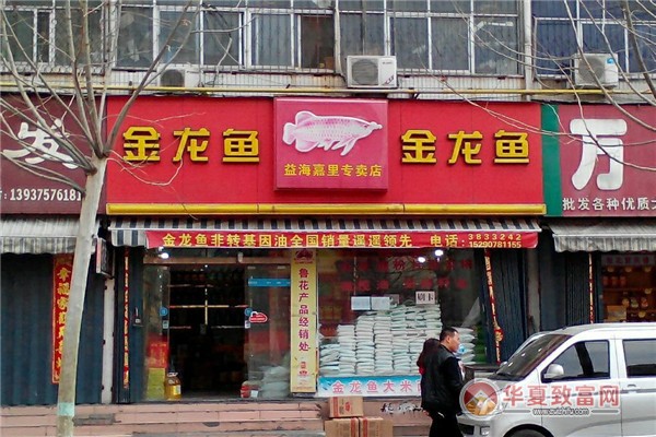 金龙鱼加盟